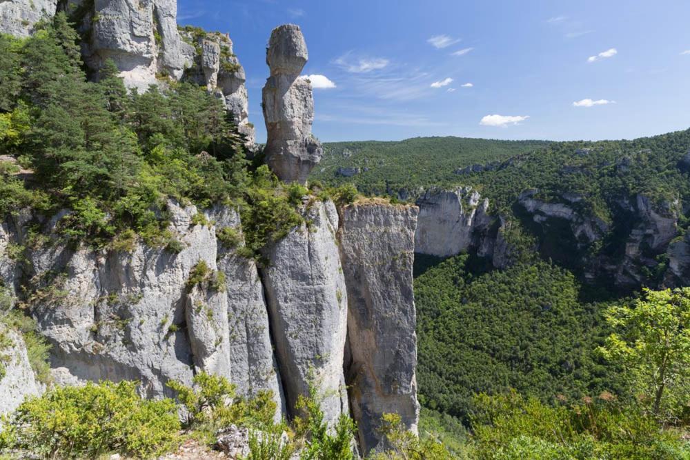 La Grange Templiere 2018 Bed & Breakfast Peyreleau Dış mekan fotoğraf